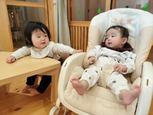 お外は楽しいね！(鳥居)