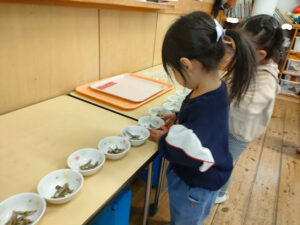 大好きなおやつの時間（菊地）