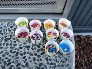 風が冷たいね！（宮嶋）