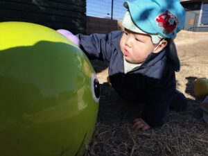 イモムシに会いに行ったよ！（小倉）