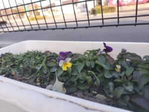 寒いけど元気いっぱい！（石川）