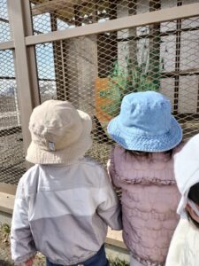 動物小屋に散歩へいったよ♪（入野）