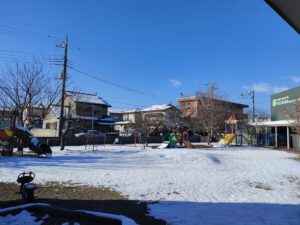 雪最高！(菊地)