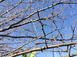 友だち大好き（宮嶋）