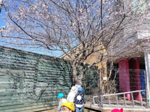 いい天気！(平野)