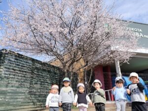 すももの花（片寄）