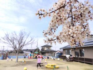 3月23日　今日のかなりや組（五十嵐）