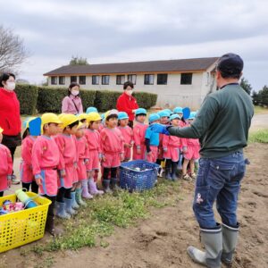 じゃがいも苗植え（沼尾）