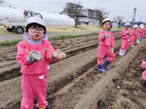 種芋植えてきたよ！(福田純)