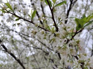 令和8年度スタート！！（江藤）