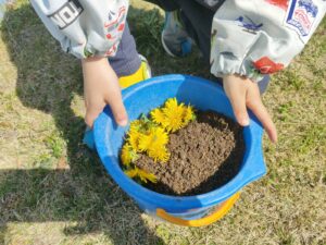 4月3日　今日のかなりや組（川津）