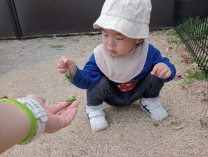 本日のつぐみ組（井上）