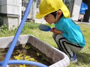 なのはな保育園とみつば保育園の園庭で。(山縣)