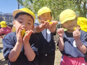 春の植物探し（足立）