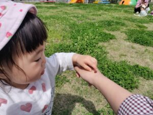 てんとう虫をみつけたよ♪　（新木）