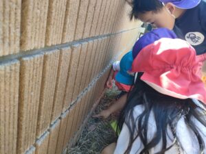 ダンゴムシ発見！（大類）