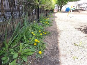 ぽかぽか陽気が気持ちいいね（続橋）