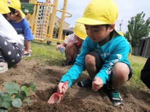 野菜を植えたよ！（生沼）