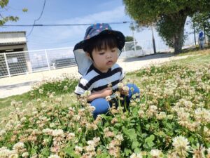 今日のかもめ組☆(安井)