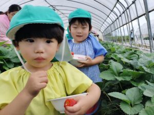【幼児組】いちご狩り＆玉ねぎ抜き（坂本）　　　
