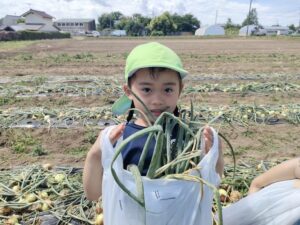 玉ねぎ掘りをしたよ★（郡司）