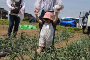 全キッズ！玉ねぎ収穫体験♪（黒川）