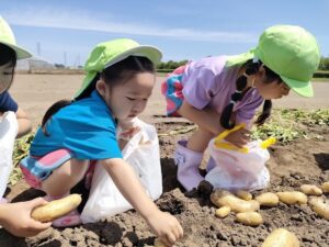 じゃがいも掘りをしたよ（郡司）