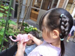 あさがお大きくなあれ（宮嶋）