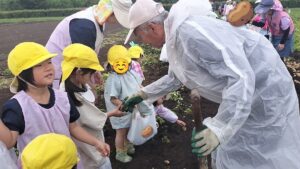 じゃがいも堀り（江田）