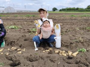 ☆「てんとうむしキッズ・じゃがいも掘り」☆（上園）