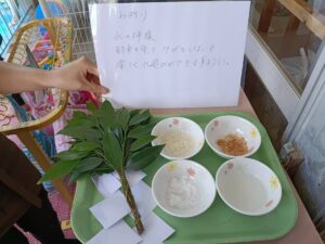 プール開き、水遊び(奥津)