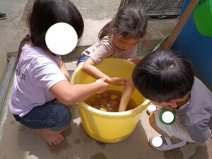 じゃがいも洗い　(吉川)