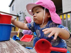 シジミチョウを追いかけたよ(山縣)