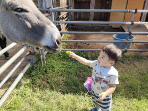 10月7日　動物園楽しかったね！（櫻井）