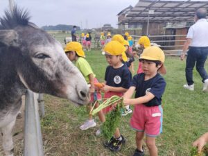 薬師寺幼稚園の動物小屋へ♪