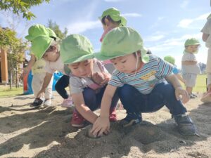 さつまいも掘りごっこをしたよ♪（黒川）